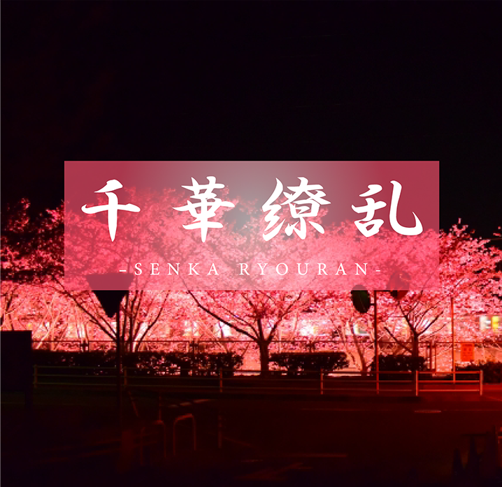约炮套子都能戴反的骚货人妻露脸边干边聊天
