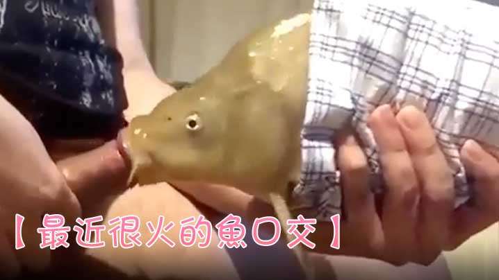 104DANDY-873 先輩CAがまさかのレズビアン？！仕事中に乳揉みレズハラされて感じてしまった新人CA